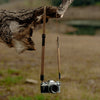 hanging camera with coyote leash